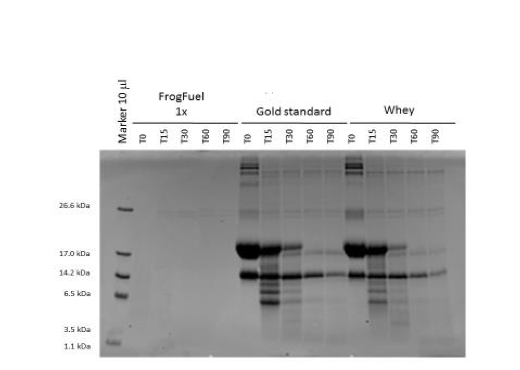 Digestibility Study